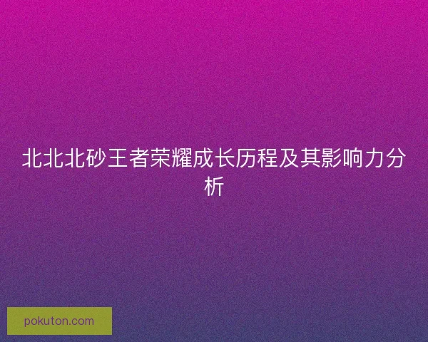 北北北砂王者荣耀成长历程及其影响力分析